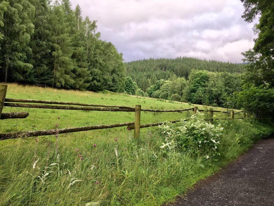 Apartmán Borůvka Železná Ruda Exterior foto