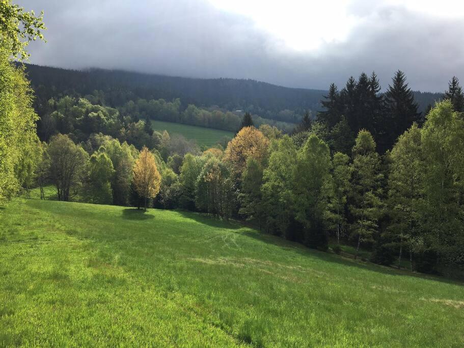Apartmán Borůvka Železná Ruda Exterior foto