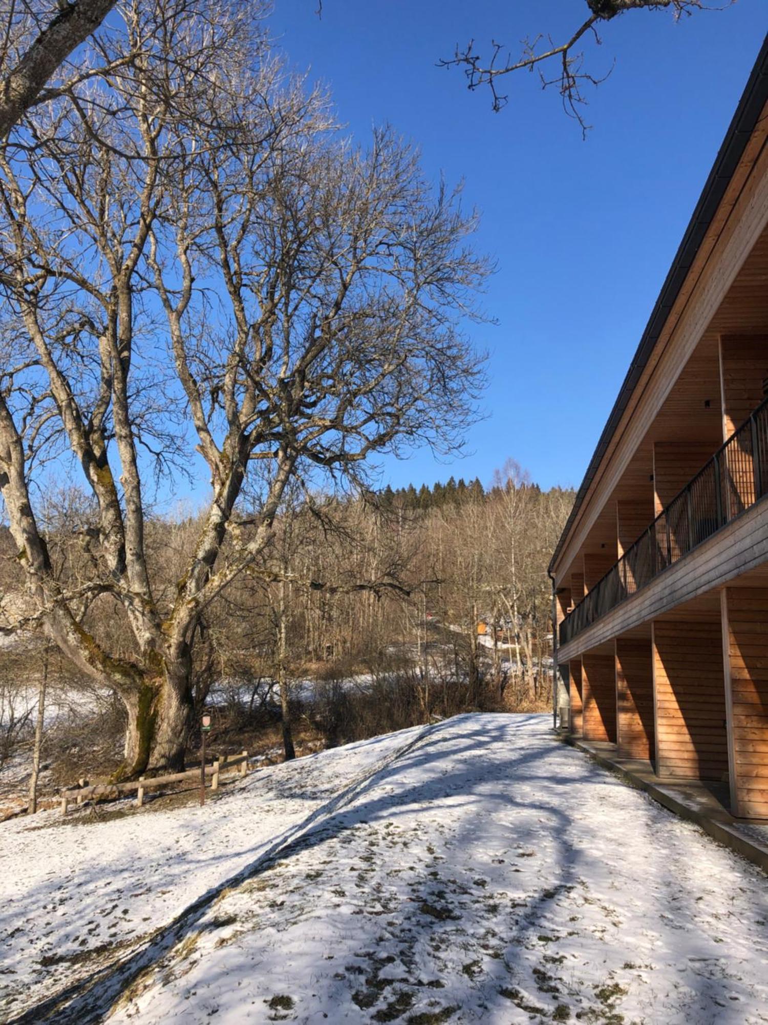 Apartmán Borůvka Železná Ruda Exterior foto